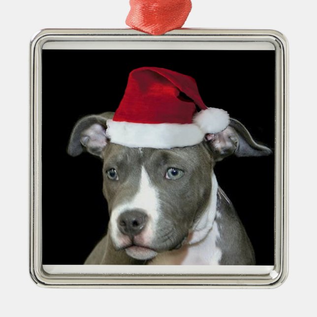 Christmas blue pitbull puppy metal ornament (Front)