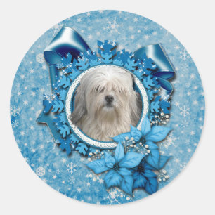 Christmas - Blue Snowflake - Lowchen Classic Round Sticker