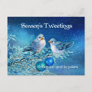 Christmas Bluebirds Tweeting in a Snowy Tree Holiday Postcard