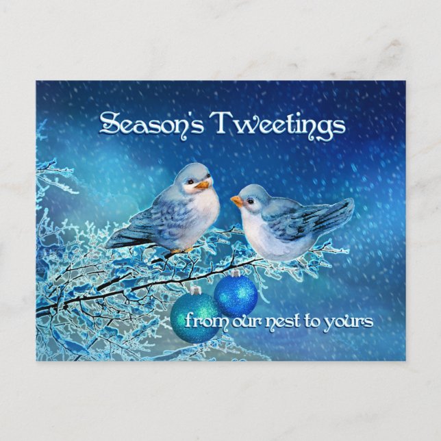 Christmas Bluebirds Tweeting in a Snowy Tree Holiday Postcard (Front)