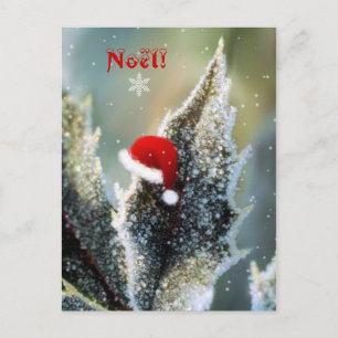 Christmas Bonnet! Holiday Postcard