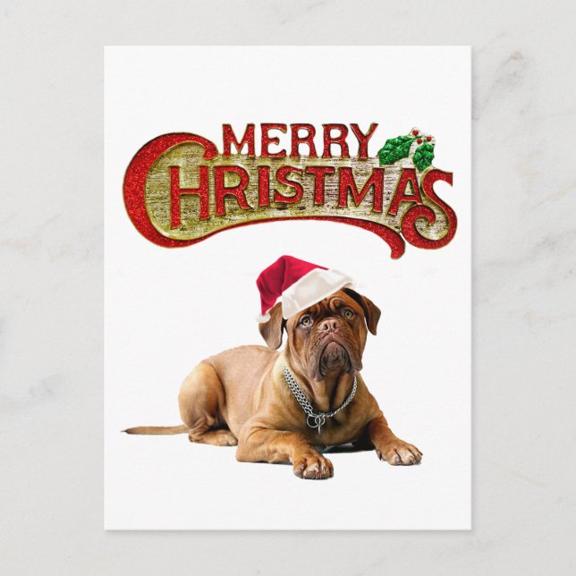 Christmas Bordeauxdog Holiday Postcard (Front)