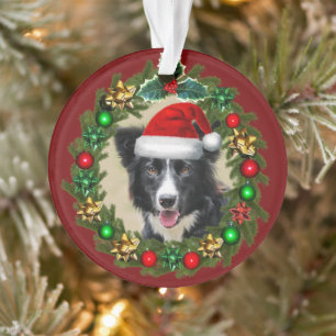 Christmas Border Collie acrylic ornament