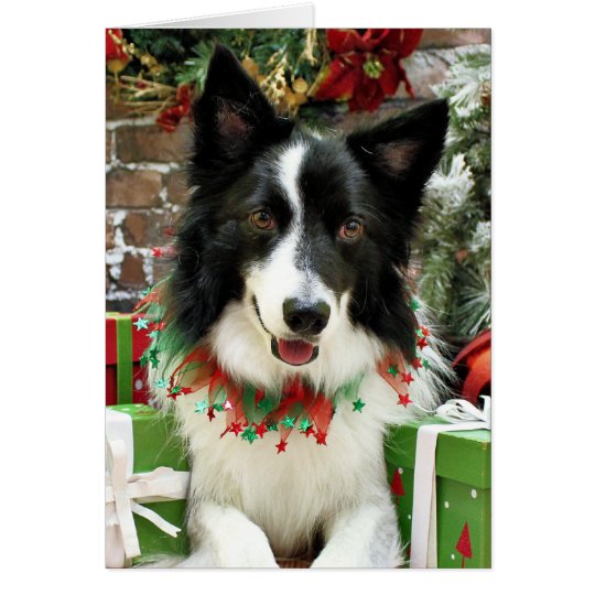 Christmas - Border Collie - Jessup Card