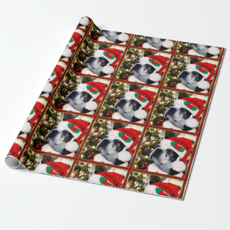 Christmas Boston Terrier dog Wrapping Paper