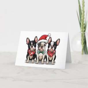 Christmas Boston Terrier Dogs Holiday Card