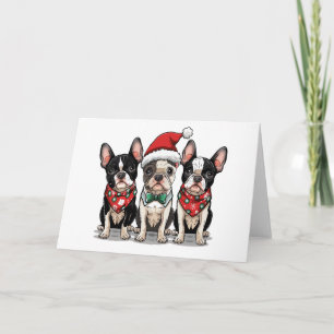 Christmas Boston Terrier Dogs Holiday Card