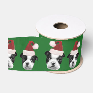 Christmas Boston Terrier Green 3" grosgrain ribbon