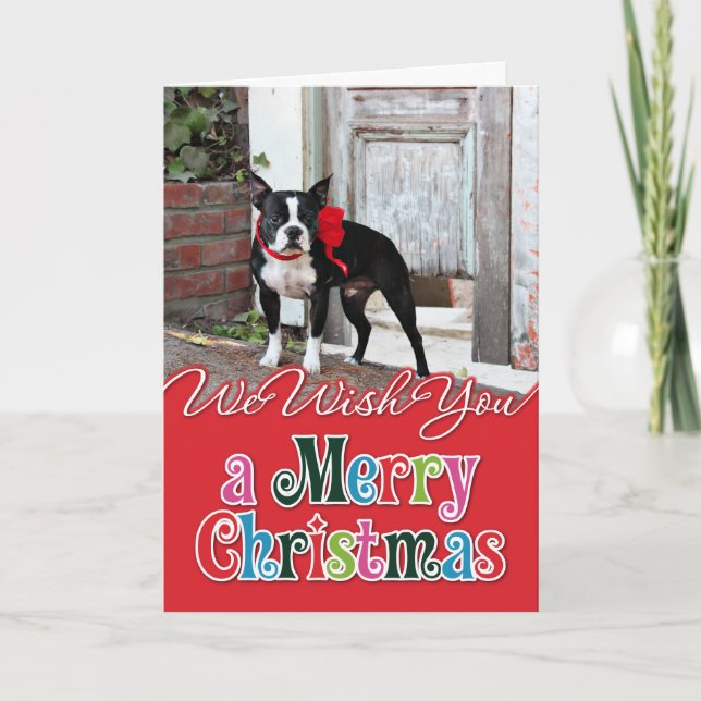Christmas - Boston Terrier - Miles Holiday Card (Front)