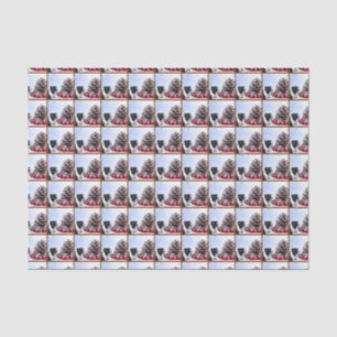 Christmas Boston Terrier tissue paper