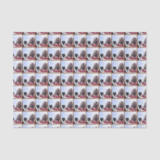 Christmas Boston Terrier tissue paper