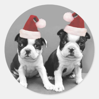 Christmas Boston Terriers Classic Round Sticker
