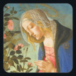 Christmas Botticelli Madonna and Child  Square Sticker<br><div class="desc">Botticelli Virgin Adoring Sleeping Christ Child c 1485

Public Domain Fine Art Print,  Enhanced. Blessed. Beautiful. More carefully plus pop,  today 10-01-2025.

A most beautiful Christmas Madonna and Child popular devotional image. Great detail.</div>