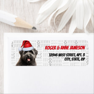 Christmas Bouvier Amoureux des chiens Holiday Adre