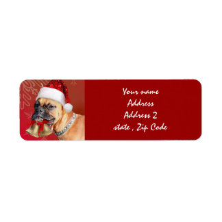 Christmas Boxer dog