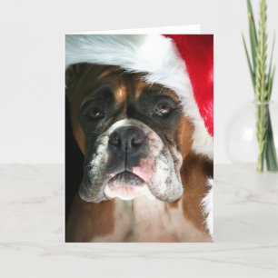 Christmas Boxer Dog greeting card