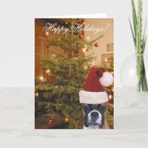 Christmas boxer greeting card