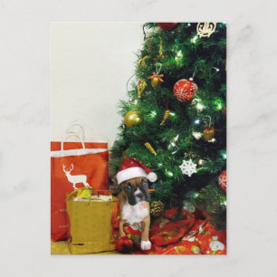 Christmas boxer puppy holiday postcard