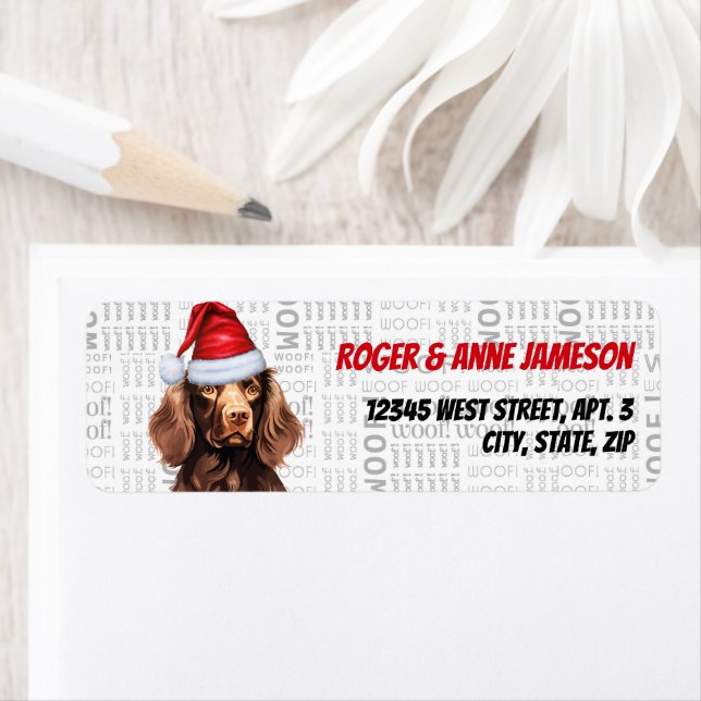 Christmas Boykin Spaniel Chien Adresse de vacances (En situation)