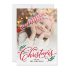 Christmas Branches Holiday Photo Card