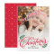 Christmas Branches Holiday Photo Card