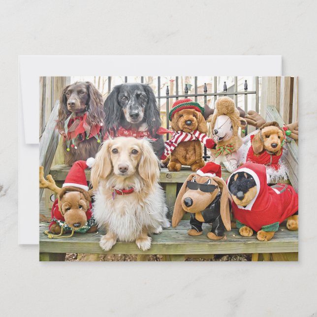 Christmas brings the whole family together holiday card (Front)