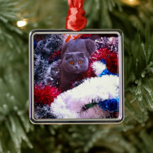 Christmas British blue cat Metal Ornament