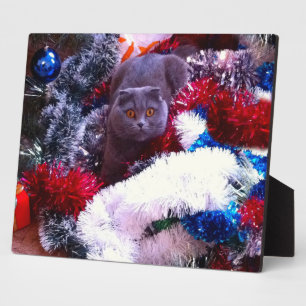 Christmas British blue cat Plaque