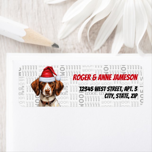 Christmas Brittany Spaniel Dog Adresse de vacances (En situation)