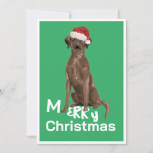 Christmas Brown Labrador Dog Merry Greeting Card