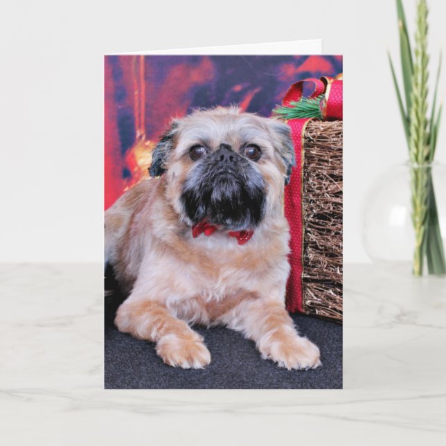 Christmas - Brussels Griffon - Oliver Holiday Card (Front)