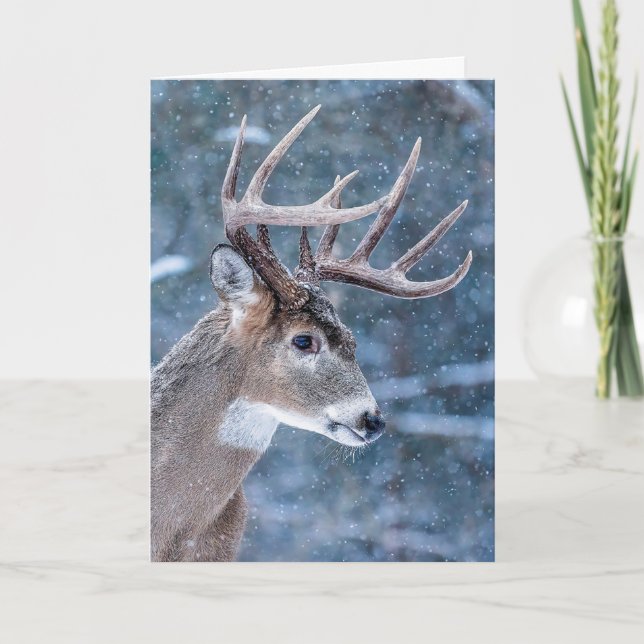 Christmas Buck Holiday Card (Front)