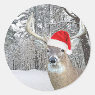 Christmas Buck In Snowflakes Classic Round Sticker