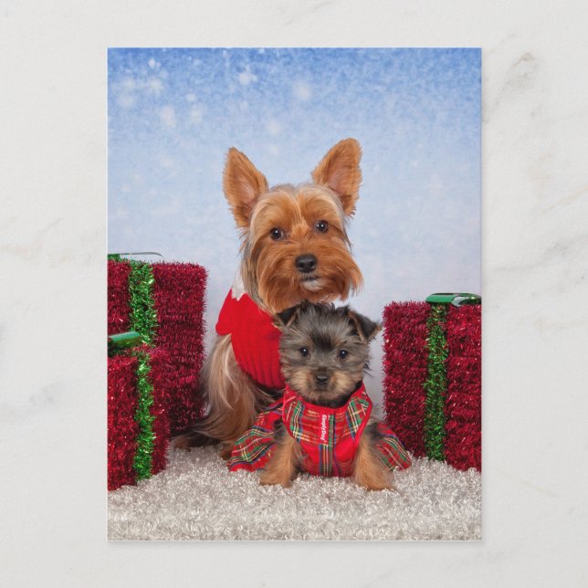 Christmas Buddies Holiday Postcard (Front)