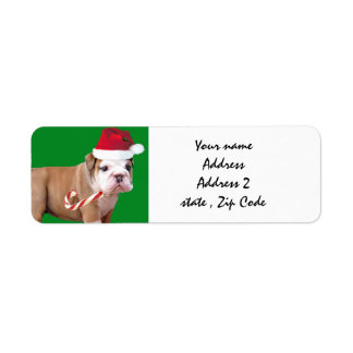 Christmas Bulldog shipping labels