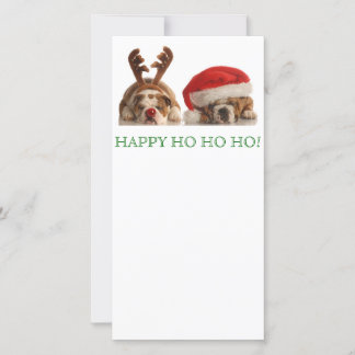 Christmas Bulldogs Postcard