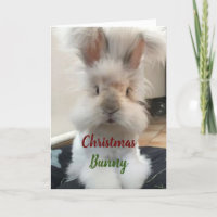 **CHRISTMAS BUNNY FOR MY HONEY"