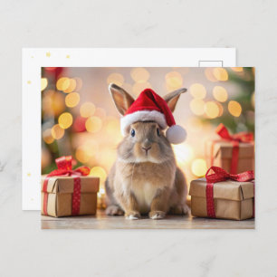 Christmas Bunny rabbit sitting with a Santa hat Holiday Postcard