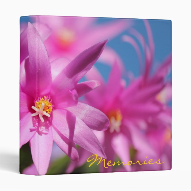 Christmas Cactus 1 Binders (Front/Spine)