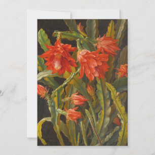 Christmas Cactus    Christian Möllback Holiday Card