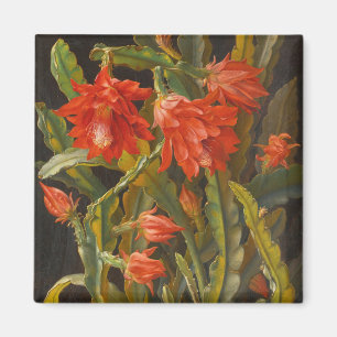 Christmas Cactus Christian Möllback Magnet