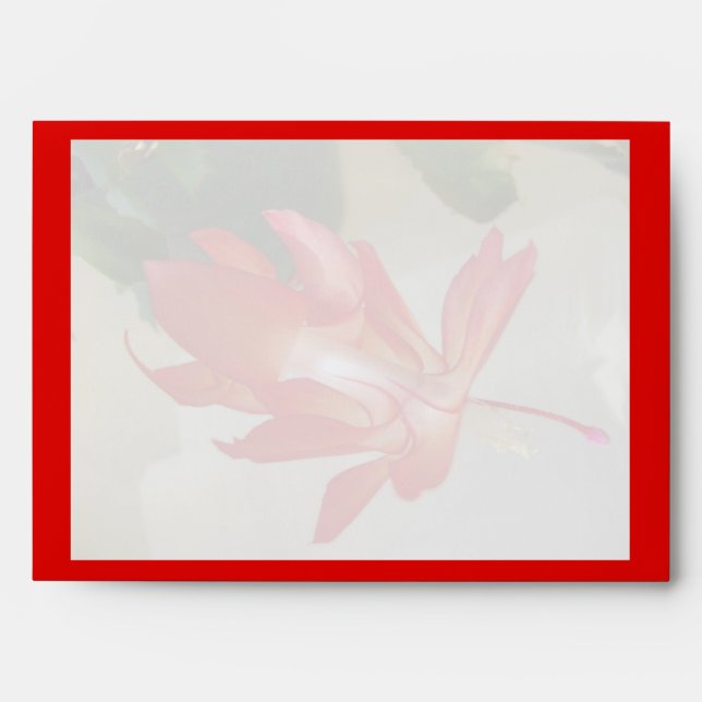 Christmas Cactus Envelope (Front)