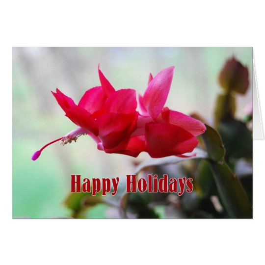 Christmas Cactus Happy Holidays Card