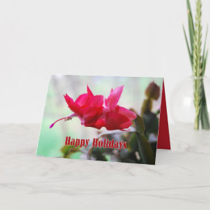 Christmas Cactus Happy Holidays Holiday Card