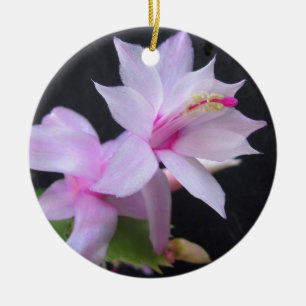 Christmas Cactus, photograph Ceramic Ornament