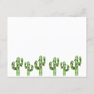 Christmas Cactus Postcard