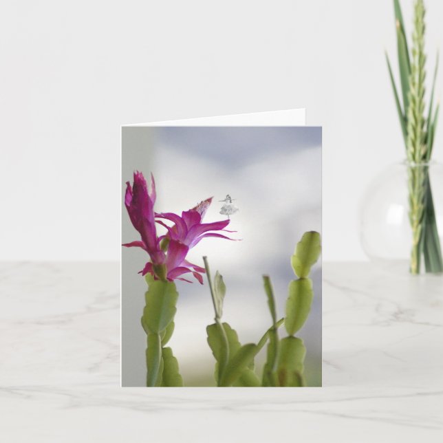 Christmas Cactus Shadow Fairy Holiday Card (Front)