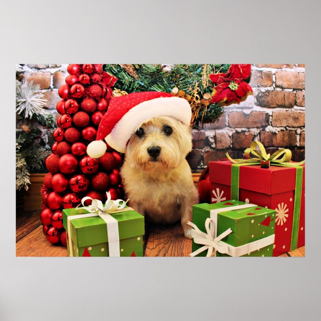 Christmas - Cairn Terrier - Roxy Poster (Front)