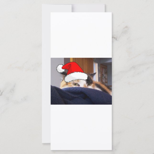 Christmas Calico Cat (Front)