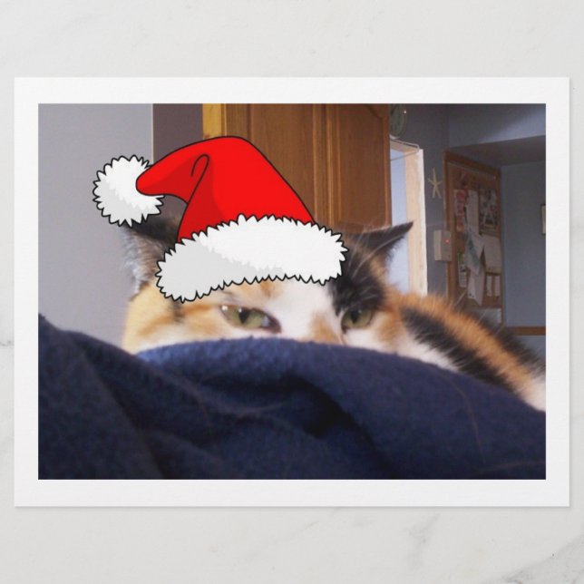 Christmas Calico Cat Flyer (Front)